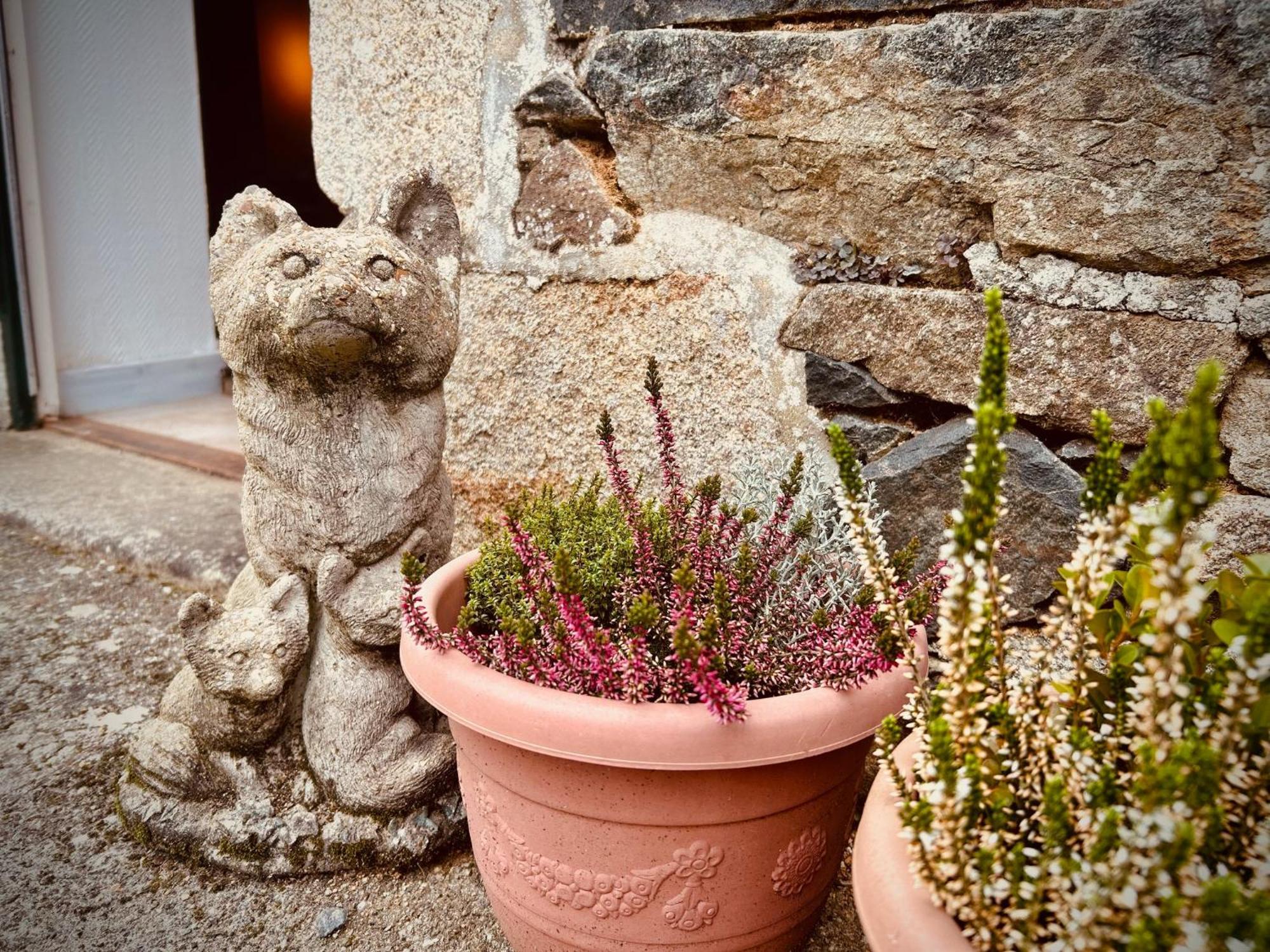 La Chapelle-Neuve  Domaine Armoricaヴィラ エクステリア 写真
