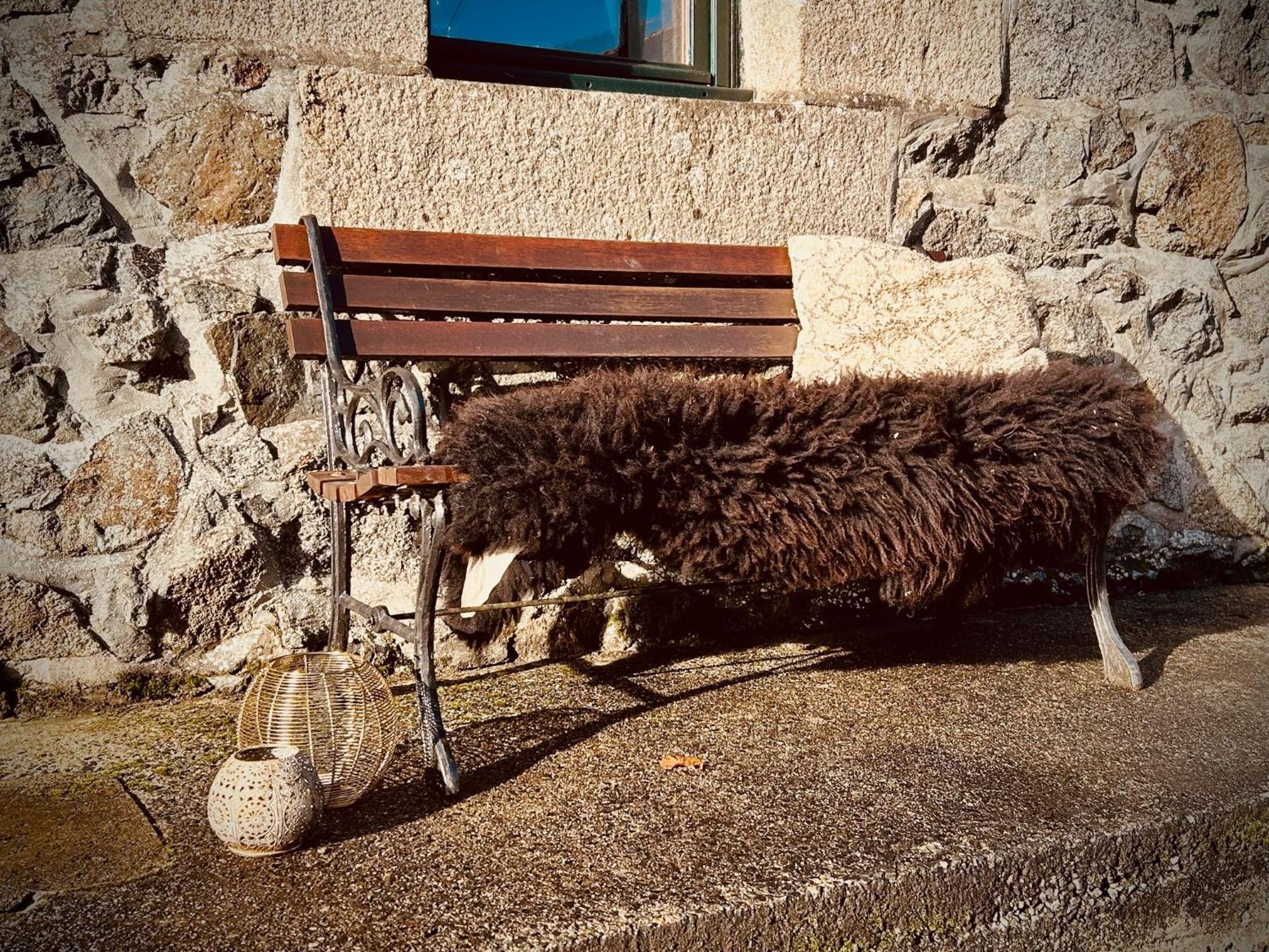 La Chapelle-Neuve  Domaine Armoricaヴィラ エクステリア 写真