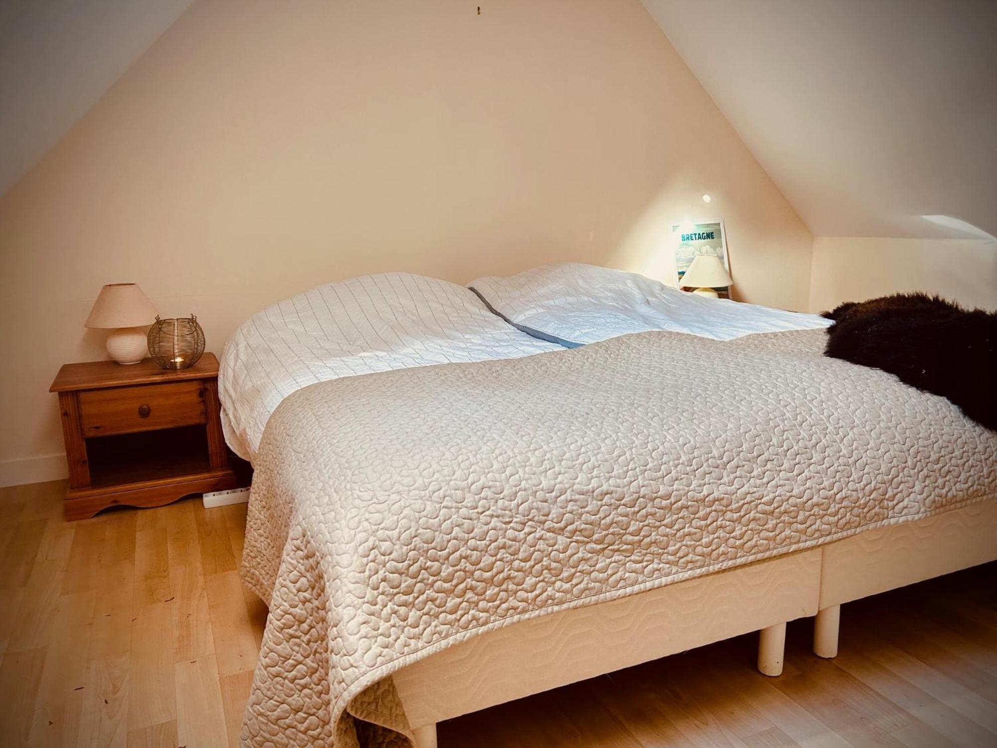 La Chapelle-Neuve  Domaine Armoricaヴィラ エクステリア 写真